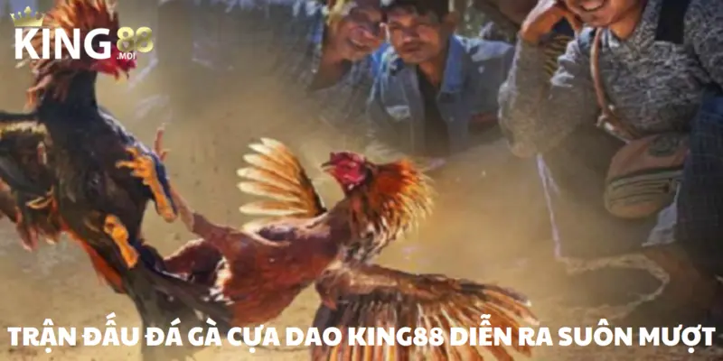 Cược gà cựa dao trên KING88 dễ dàng thực hiện