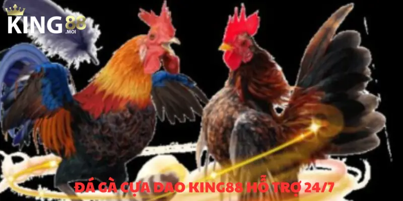 Chăm sóc khách hàng không gián đoạn, phục vụ 24/7