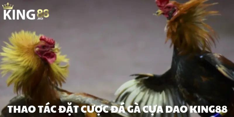 Cuộc chiến diễn ra một cách chóng vánh